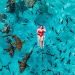 hidden life of sharks