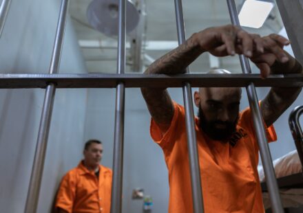 Umar Khalid bail plea