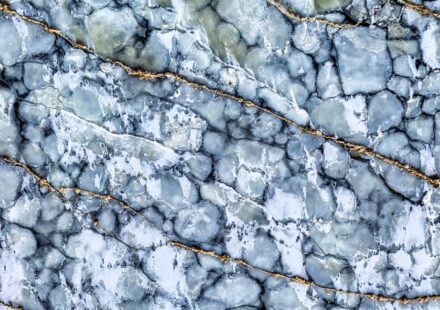 ICE shooting Marble Hill