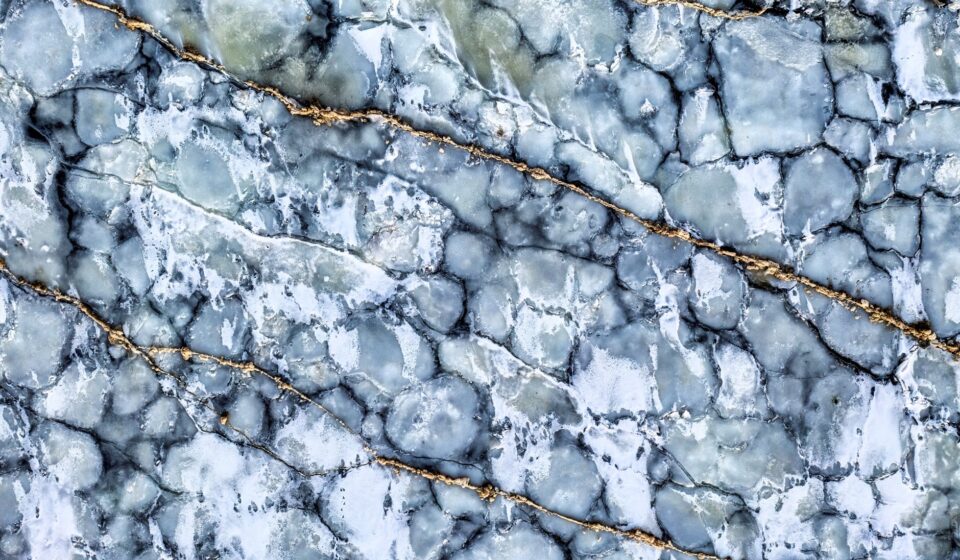 ICE shooting Marble Hill